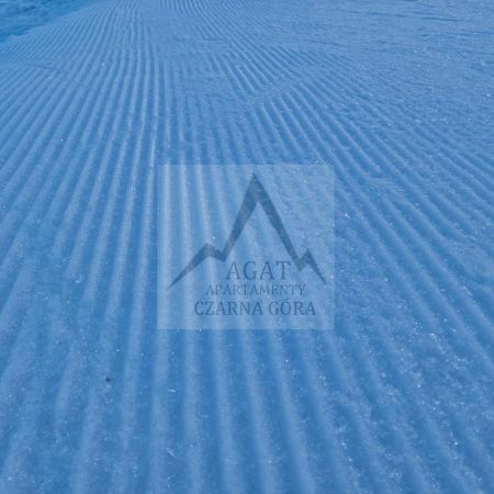 Agat Apartament Czarna Gora Сенна Экстерьер фото